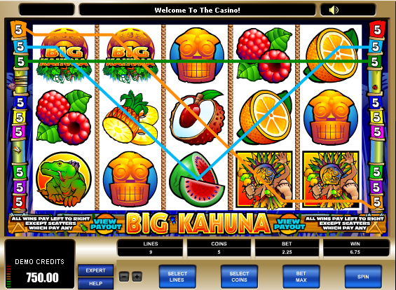 free  Big Kahuna no download slots