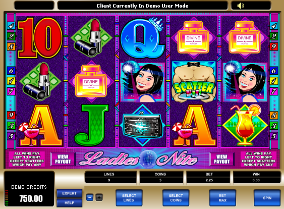 free Ladies Nite no download slots